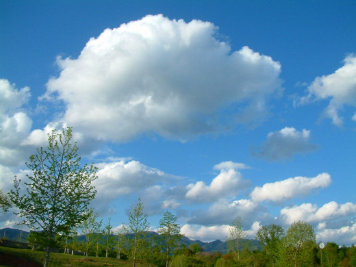 27119 (a): :1024x768